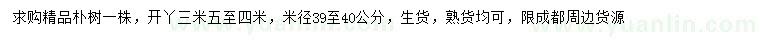 求購米徑39-40公分樸樹