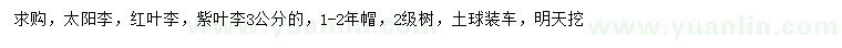 求購太陽李、紅葉李、紫葉李