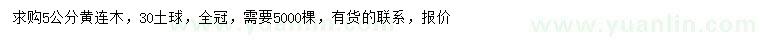 求購5公分黃連木