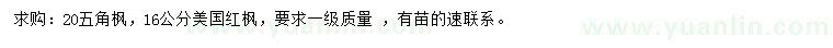 求購20公分五角楓、16公分美國紅楓
