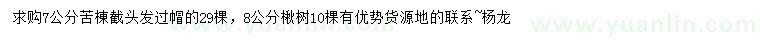 求購7公分苦棟、8公分楸樹