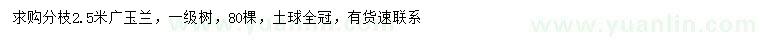 求購(gòu)分枝2.5米廣玉蘭