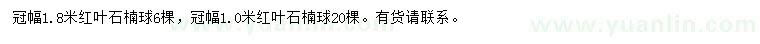 求購冠幅1、1.8米紅葉石楠球