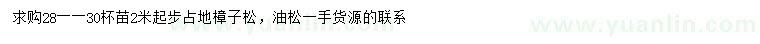 求購2米以上樟子松、油松