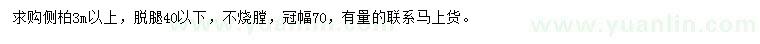 求購3米以上側柏