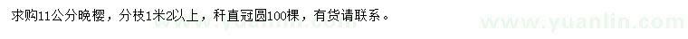 求購11公分晚櫻