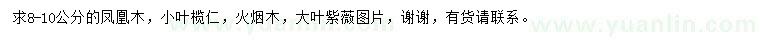 求購鳳凰木、小葉欖仁、火煙木