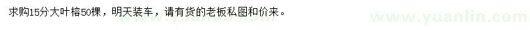 求購15公分大葉榕