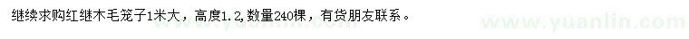 求購(gòu)高1.2米紅繼木