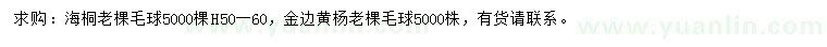 求購高50-60公分海桐、金邊黃楊