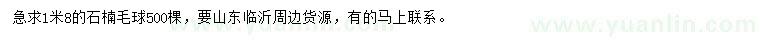 求購(gòu)1.8米石楠毛球