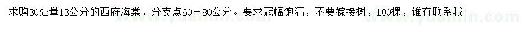 求購30量13公分西府海棠