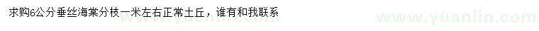 求購6公分垂絲海棠
