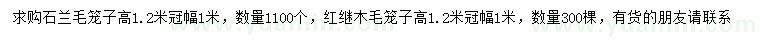 求購(gòu)高1.2米石蘭、紅繼木