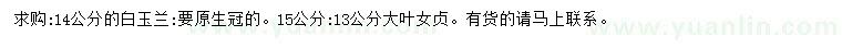 求購14公分白玉蘭、13、15公分大葉女貞