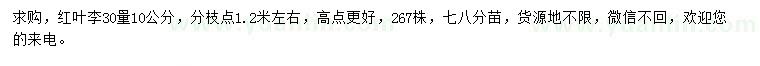 求購30量10公分紅葉李