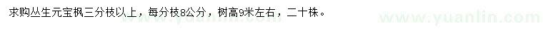 求購三分枝以上叢生元寶楓