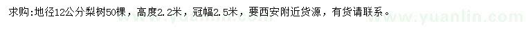 求購(gòu)地徑12公分梨樹(shù)