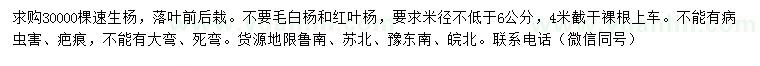 求購米徑6公分以上速生楊