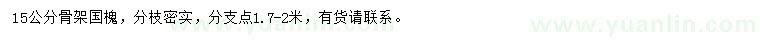 求購15公分國槐
