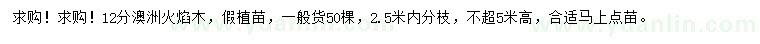 求購12公分澳洲火焰木