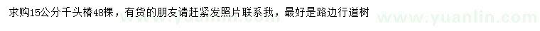 求購15公分千頭椿