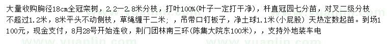 求購胸徑18公分欒樹