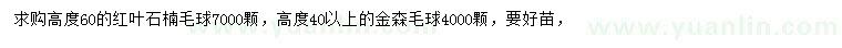 求購高60公分紅葉石楠毛球、高40公分以上金森毛球