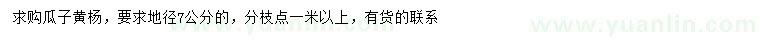 求購地徑7公分瓜子黃楊