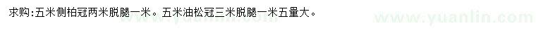 求購5米側柏、油松