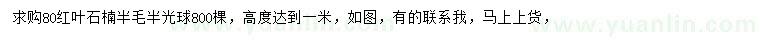 求購(gòu)80公分紅葉石楠球
