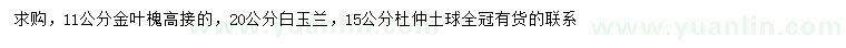 求購金葉槐、白玉蘭、杜仲