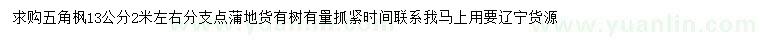 求購13公分五角楓