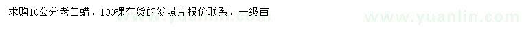 求購10公分老白蠟