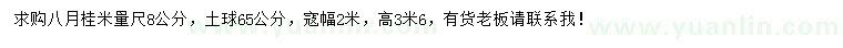求購(gòu)1米量8公分八月桂