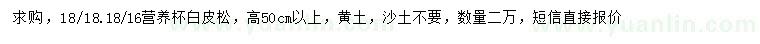 求購(gòu)高50公分以上白皮松