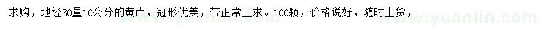 求購30量10公分黃櫨