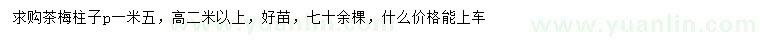 求購冠幅1.5米茶梅柱