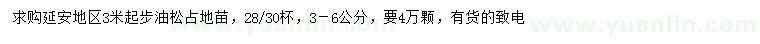 求購(gòu)3米起步油松