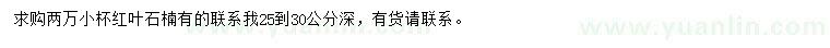 求購25-30公分紅葉石楠