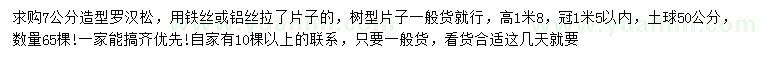 求購7公分造型羅漢松