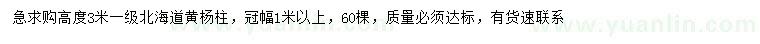 求購高3米北海道黃楊柱