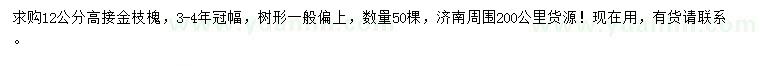求購12公分金枝槐