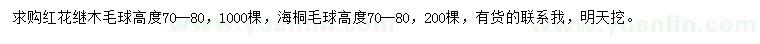 求購高70-80公分紅花繼木球、海桐球