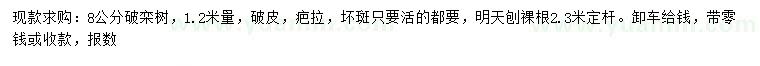 求購(gòu)8公分欒樹