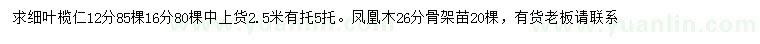 求購(gòu)12、16公分細(xì)葉欖仁、26公分鳳凰木