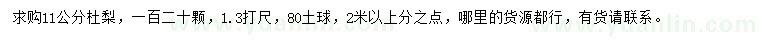 求購11公分杜梨