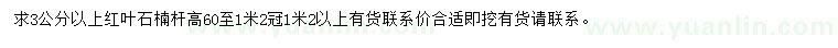 求購(gòu)3公分以上紅葉石楠