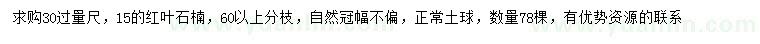 求購30量、15公分紅葉石楠