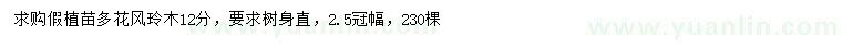 求購12公分多花風(fēng)鈴木